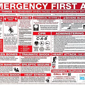 First Aid Response Wall Chart (22x26)