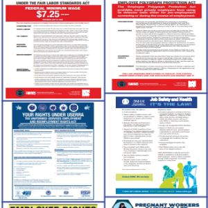 6 In 1 Labor Law Wall Chart (15x31)