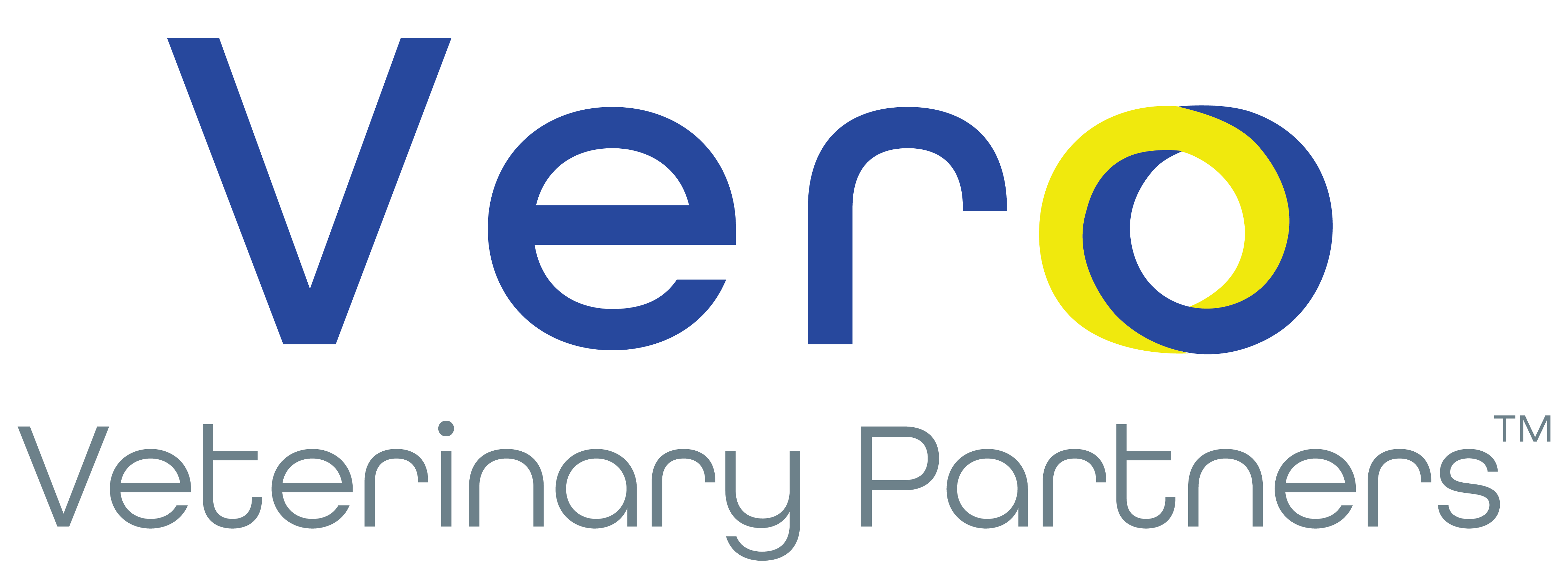 Vero Logo Final_Color